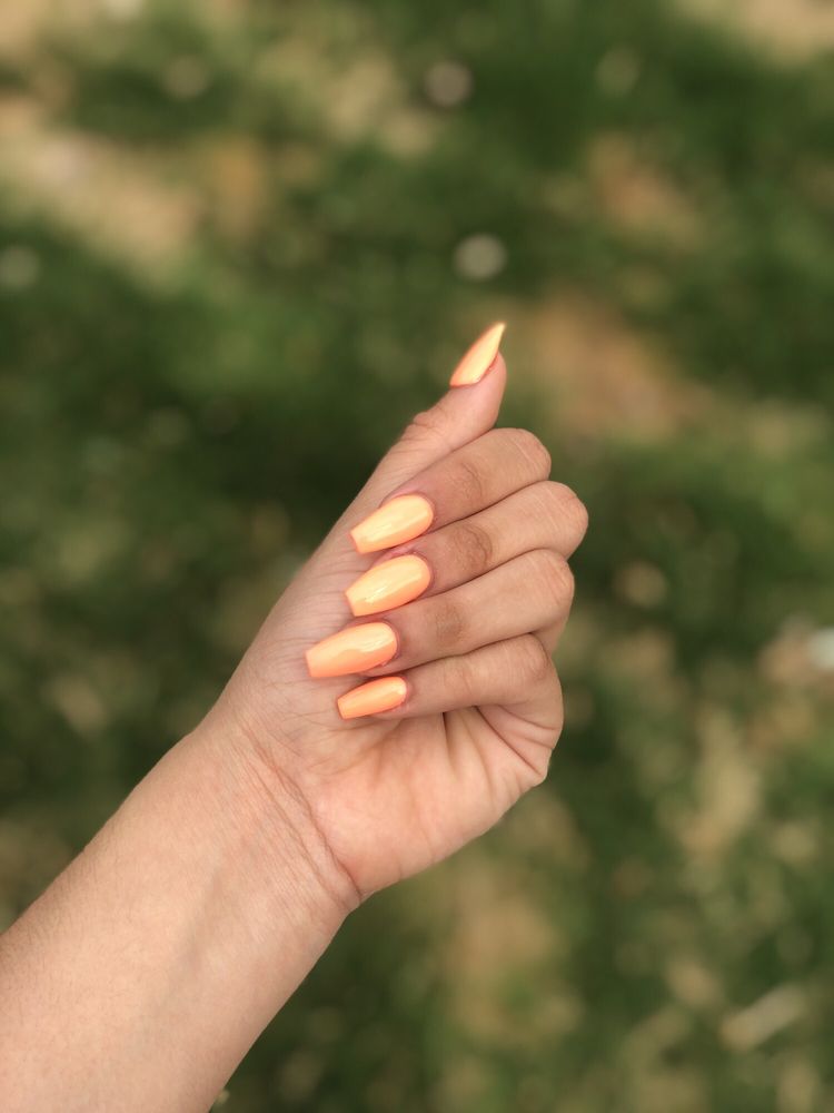 PARADISE NAIL & SPA 668 Photos & 260 Reviews Nail Salons 2953