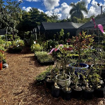 Tropic Plants - Entrance - Nurseries & Gardening Near Me - Tamarac, Florida