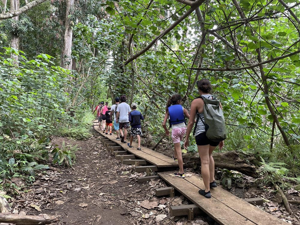 DUKE’S KAYAK ADVENTURE Updated September 2024 98 Photos & 142