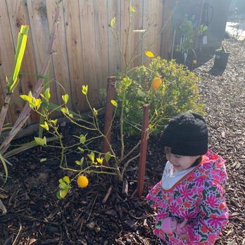 Ms Hemus Daycare - Child Care & Day Care Near Me - Roseville, California Ms Hemus Daycare - Child Care & Day Care Near Me - Roseville, California