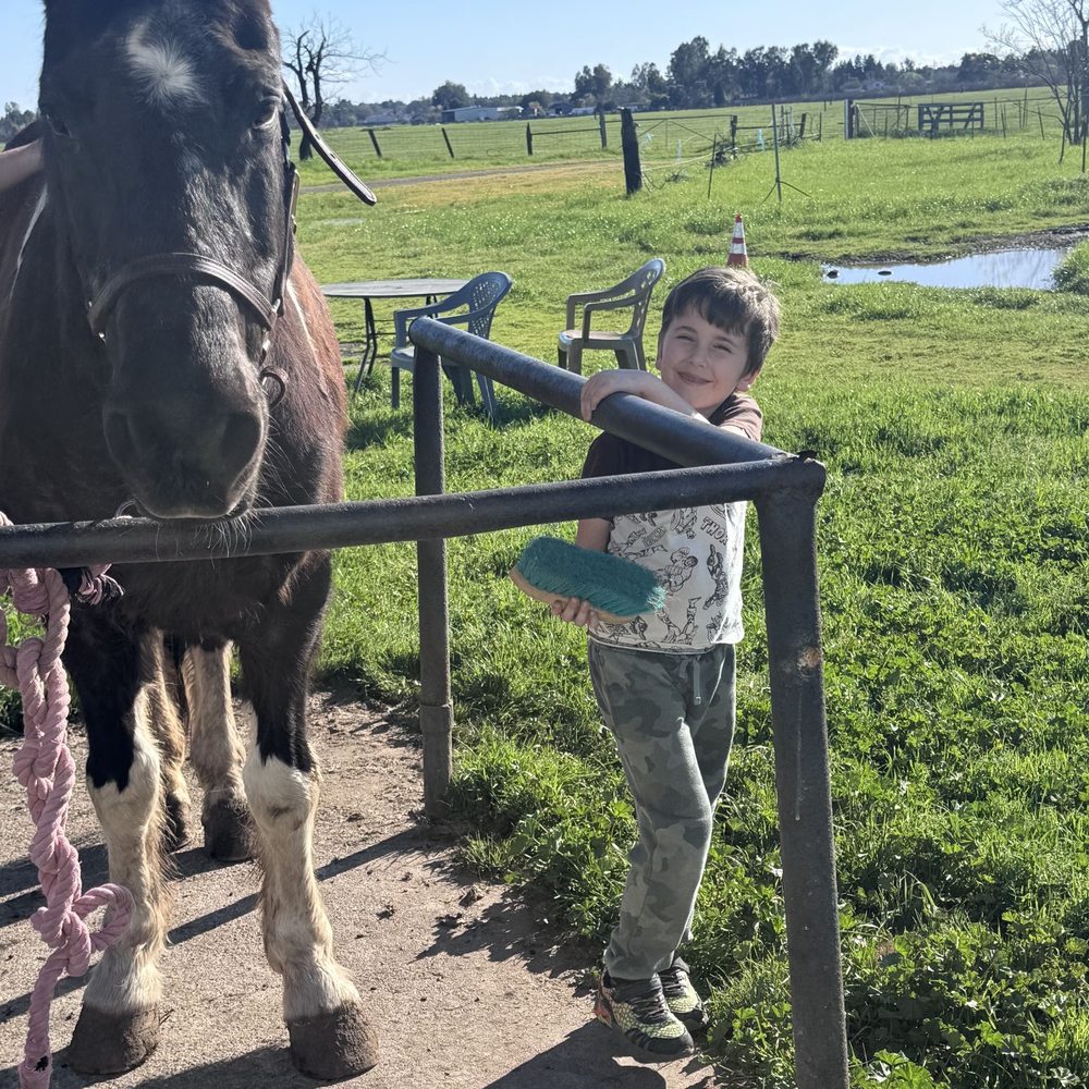 Freedom Riders - Time to give back to love that we received by grooming.This gentle giant - Horseback Riding Near Me - Oroville, California