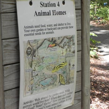 Tree Hill Jacksonville's Nature Center - Parks Near Me - Jacksonville, Florida