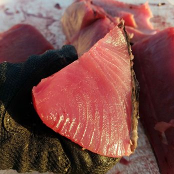 Guardian Charters - Delicious BFT! - Fishing Near Me - San Diego, California