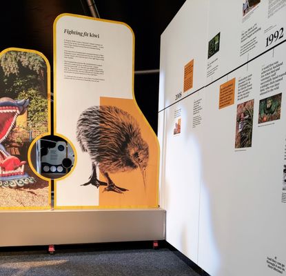 Auckland Zoo by null