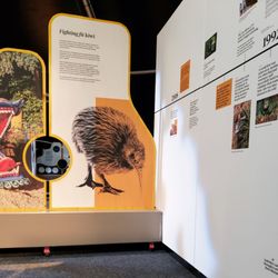Auckland Zoo - Display for Anniversary of Auckland Zoo