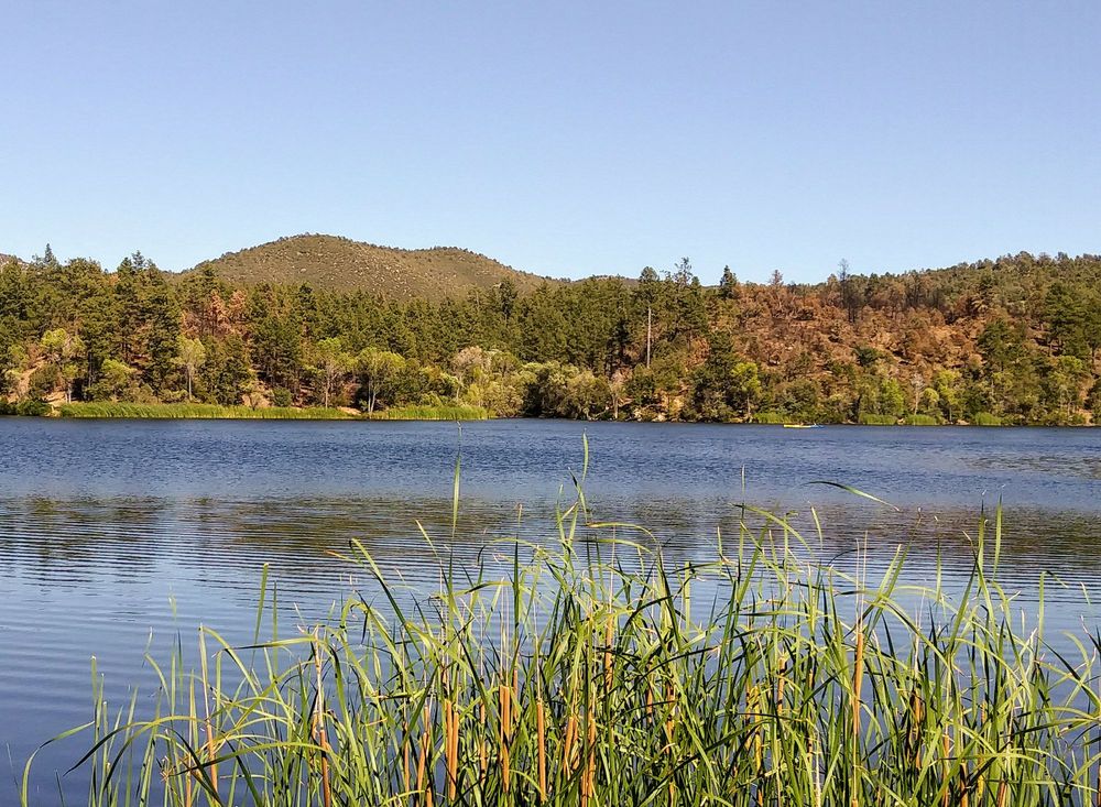 LYNX LAKE 143 Photos & 43 Reviews Walker Rd, Prescott, Arizona
