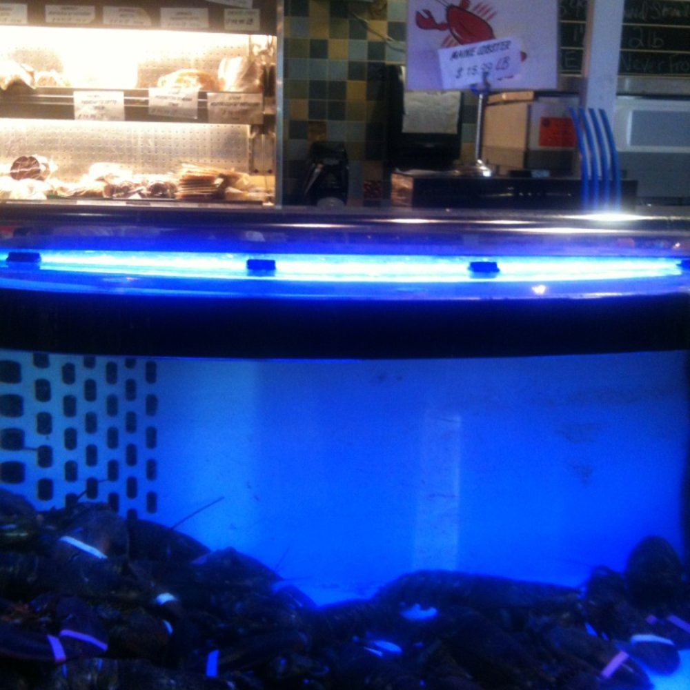 Amici Market - Live Main lobster - Grocery Near Me - Palm Beach, Florida