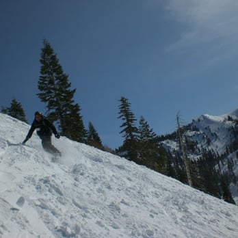 Palisades Tahoe Alpine Lodge - check out the angles of the trees, dats steep. - Ski Resorts Near Me - Alpine Meadows, California