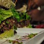 Photo of Cuatro Taller de Cocina
