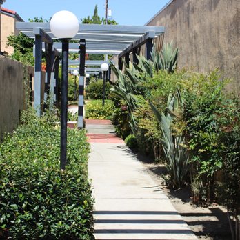 Antonio Ramirez Garden Services - Landscape upkeep - Gardeners Near Me Antonio Ramirez Garden Services - Landscape upkeep - Gardeners Near Me
