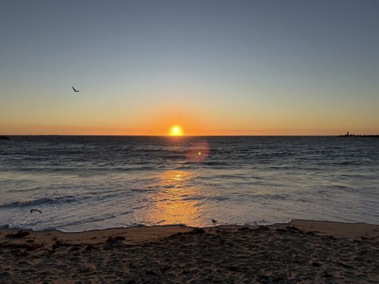 Bathers Beach House by null