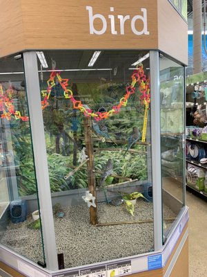 Petco by null
