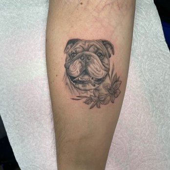 Chapter One Tattoo - Dan Collins, single needle. Portray of my bully boy Ozzy. - Tattoo Near Me - San Diego, California Chapter One Tattoo - Dan Collins, single needle. Portray of my bully boy Ozzy. - Tattoo Near Me - San Diego, California