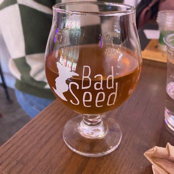 Bad Seed Cider Company - Cute cups - Wineries Near Me - Highland, New York Bad Seed Cider Company - Cute cups - Wineries Near Me - Highland, New York