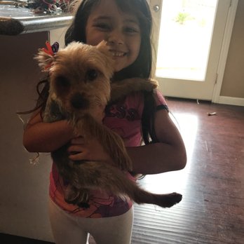 Ooh Puppy - Pet Groomers Near Me - La Mirada, California Ooh Puppy - Pet Groomers Near Me - La Mirada, California