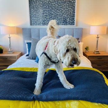 Two Lincoln Tower - Baci approved! - Apartments Near Me - Bellevue, Washington Two Lincoln Tower - Baci approved! - Apartments Near Me - Bellevue, Washington