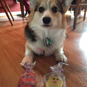 Leaps & Bones - Easter cookies from Leaps & Bones! - Pet Stores Near Me - South Windsor, Connecticut