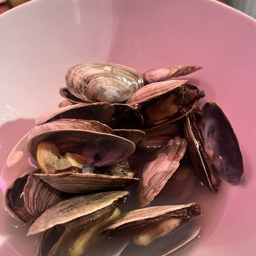 Geddy's - Wild-Caught Maine Steamer Clams - Seafood Near Me - Bar Harbor, Maine Geddy's - Wild-Caught Maine Steamer Clams - Seafood Near Me - Bar Harbor, Maine