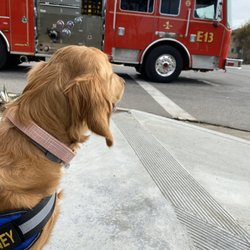 Burbank Fire Department - @goldenlaney saw her first fire truck and got waved by the nice firemen