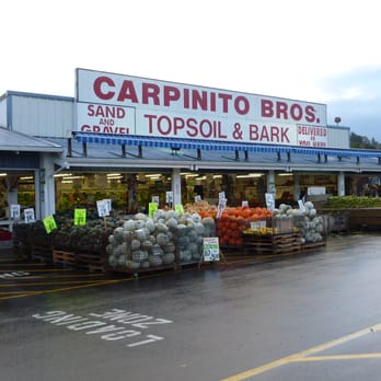 Carpinito Brothers - Look at all this fresh food! Love this place! - Nurseries & Gardening Near Me - Kent, Washington Carpinito Brothers - Look at all this fresh food! Love this place! - Nurseries & Gardening Near Me - Kent, Washington