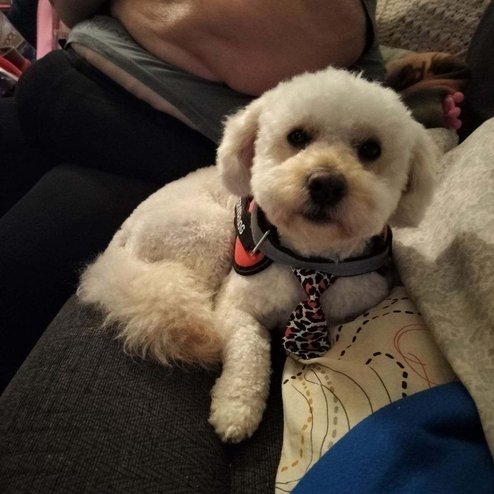 Teddy Bear looking good was his little tie.