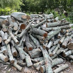 Ez Burn Firewood
