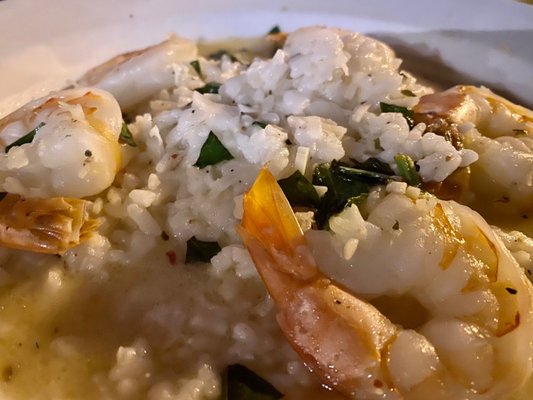 La Dolce Vita by null