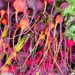 Lawrence Farmers Market