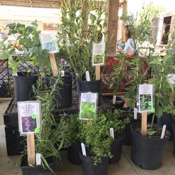 Lakeside Farmers' Market - Plant vendor - Farmers Market Near Me - Richmond, Virginia