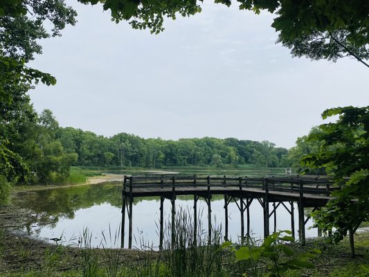Maybury State Park by null