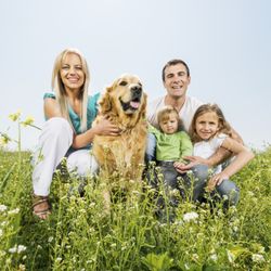 Partners in Pediatrics - We celebrate families.