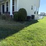 Photo of Hernandez Garden Service