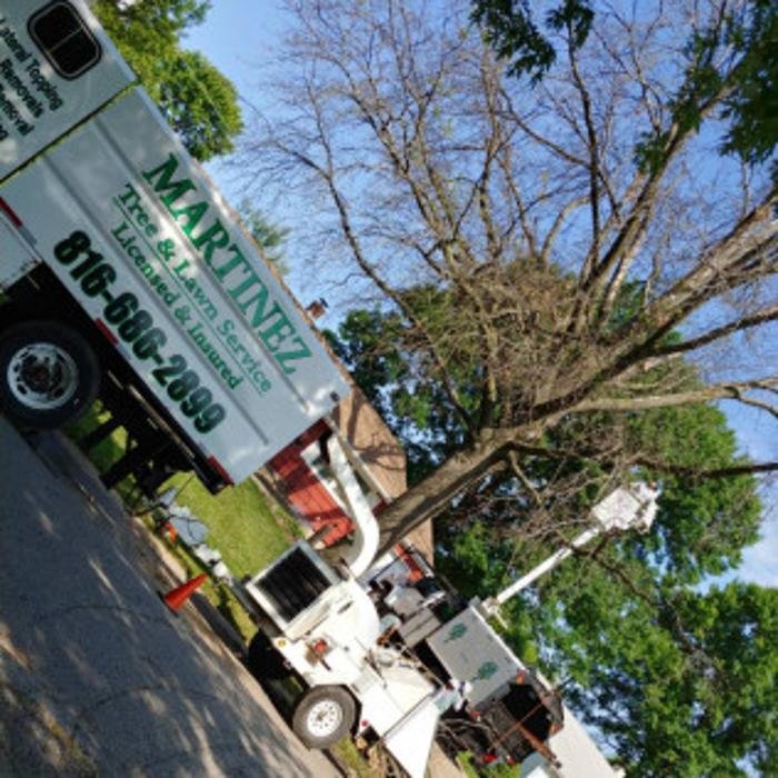 Martinez Tree & Lawn Service - tree service in Kansas City, MO
