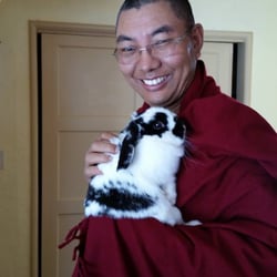 Manjushri Dharma Center - Khenpo Karten Rinpoche and our new bunny Mi Chi. He loves animals and gives beautiful blessings when needed.