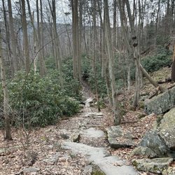 Mt. Minsi Trailhead