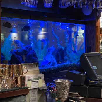 Mark's East Side - Nice fish tank at bar - Steakhouses Near Me - Appleton, Wisconsin Mark's East Side - Nice fish tank at bar - Steakhouses Near Me - Appleton, Wisconsin