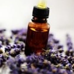 Massage For Wellness - Essential Oils at no extra cost.