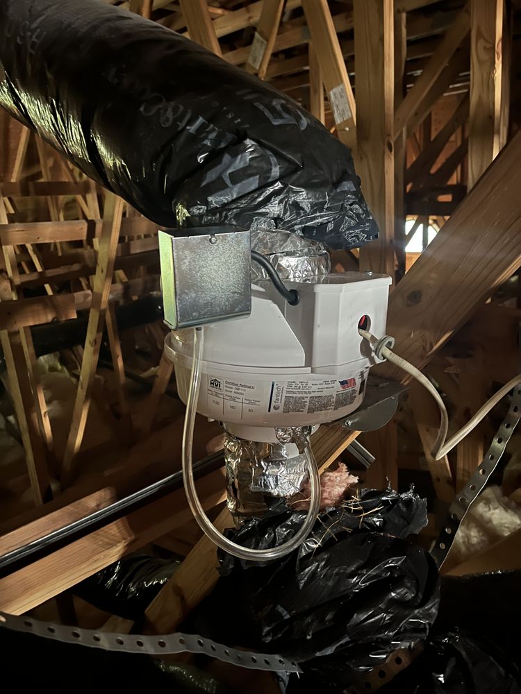 GREEN CARE BK Updated August 2024 24 Photos 87 Clay St, New Brunswick, New Jersey Air