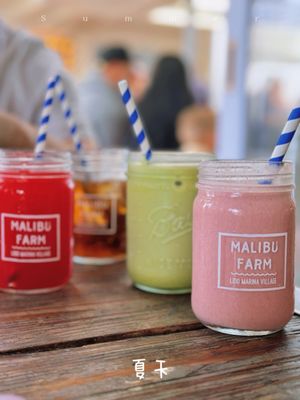 Malibu Farm Lido by null