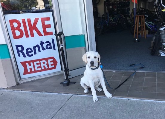 Atlantic Cycles by null