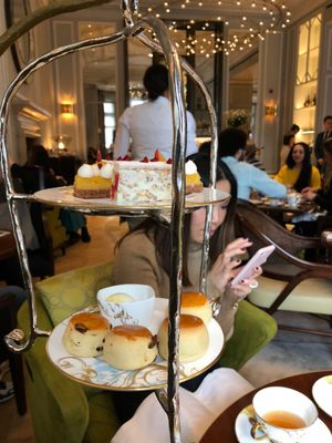 The Rosebery by null