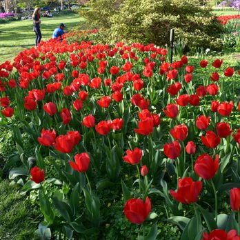 Sherwood Gardens - Parks Near Me - Baltimore, Maryland
