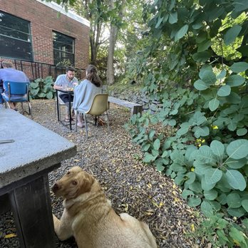 The Black Birch - Doggo friendly outside - New American Near Me - Kittery, Maine