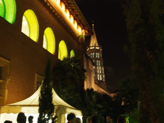 Musée Saint-Raymond by null