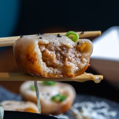 Serious Dumpling by null