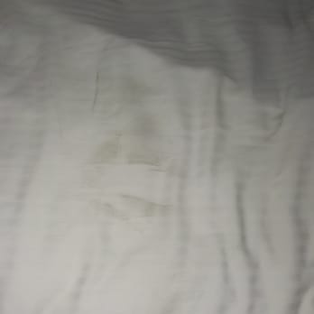 Hotel Croydon Miami Beach - Dirty bed sheet... - Hotels Near Me - Miami Beach, Florida