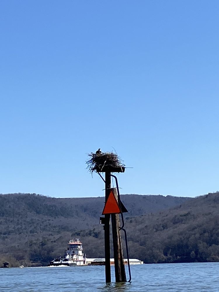 CANOE KAYAK CHATTANOOGA with 90 real customer photos Updated August