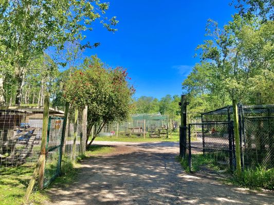 The Catty Shack Ranch Wildlife Sanctuary by null