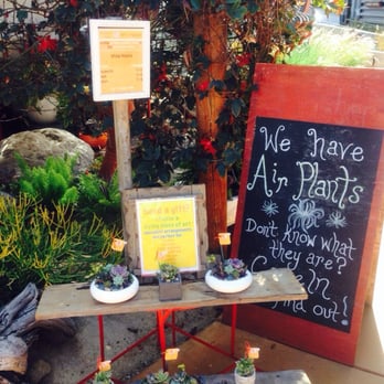 Organic Designs By Aggelige - Love everything - Nurseries & Gardening Near Me - Costa Mesa, California