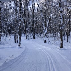 Osceola Ski and Sport Resort - Groomed trails
